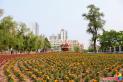 圖看延吉｜延吉公園鮮花盛開，猶如調色盤般絢麗多彩